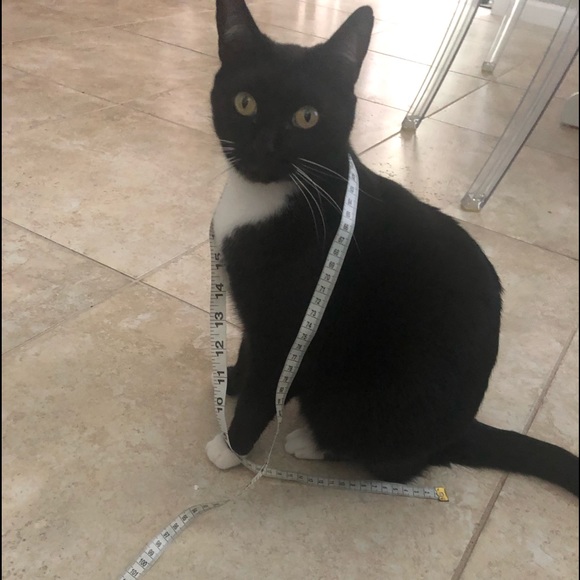 Meet the Posher...Pam - Picture 16 of 16